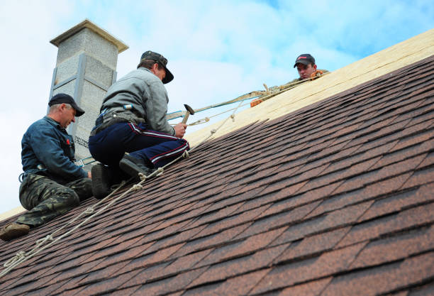 Quick and Trustworthy Emergency Roof Repair Services in Port Vue, PA