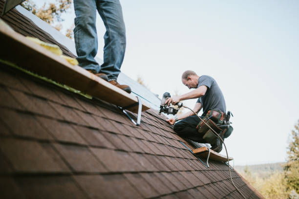 Roof Gutter Cleaning in Port Vue, PA