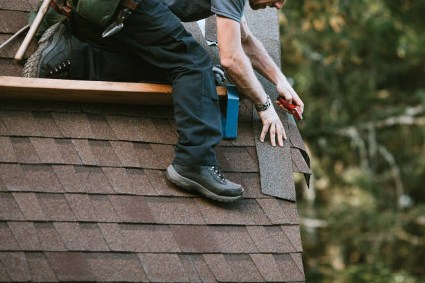 Best Gutter Installation and Roofing  in Port Vue, PA